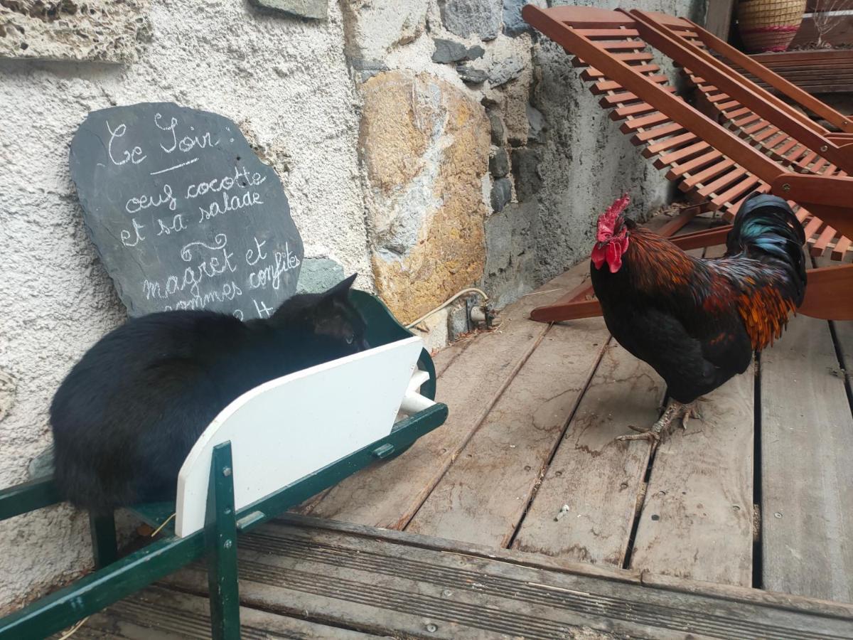 Chambres D'Hotes Les Chatougoulis Les Bordes-sur-Lez Esterno foto